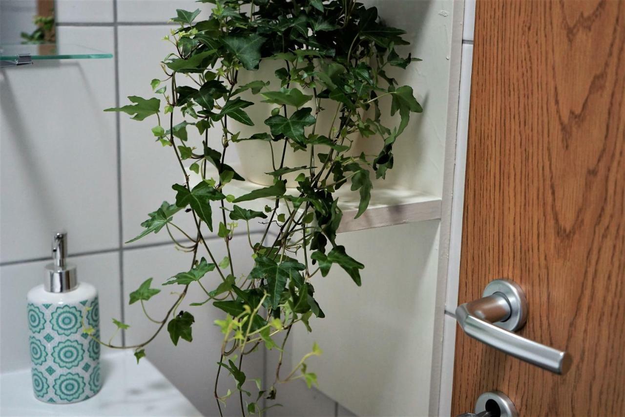 Momo'S Studio Apartment זאגרב מראה חיצוני תמונה